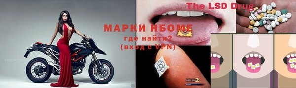 ГАЛЛЮЦИНОГЕННЫЕ ГРИБЫ Кодинск