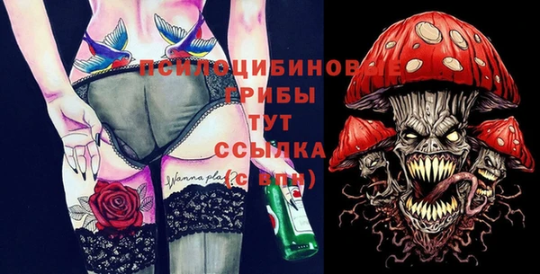 ГАЛЛЮЦИНОГЕННЫЕ ГРИБЫ Кодинск